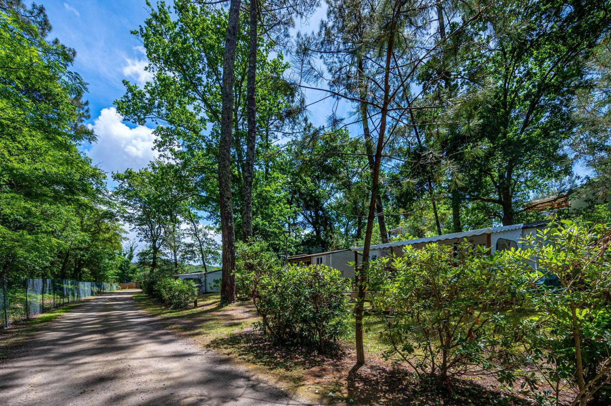 Camping-Village Vacances Les Deux Etangs Seignosse Exterior foto